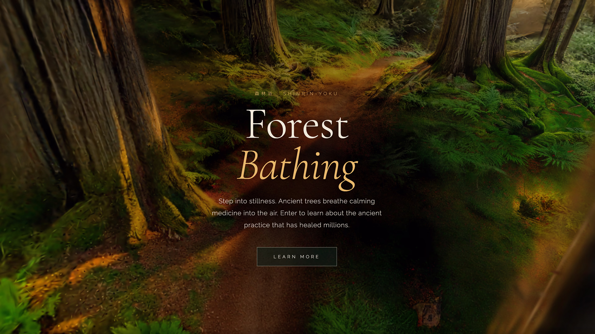 3DGS Forest Bathing